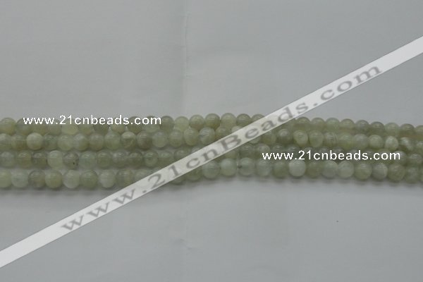 CMS1051 15.5 inches 6mm round grey moonstone beads wholesale