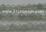 CMS1054 15.5 inches 4mm faceted round grey moonstone beads wholesale