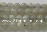 CMS1057 15.5 inches 6mm round grey moonstone beads wholesale
