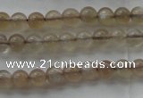 CMS1063 15.5 inches 4mm round grey moonstone beads wholesale