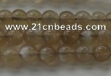 CMS1064 15.5 inches 6mm round grey moonstone beads wholesale