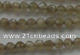 CMS1066 15.5 inches 4mm faceted round grey moonstone beads wholesale