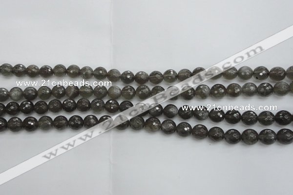 CMS1075 15.5 inches 6mm faceted round grey moonstone beads wholesale