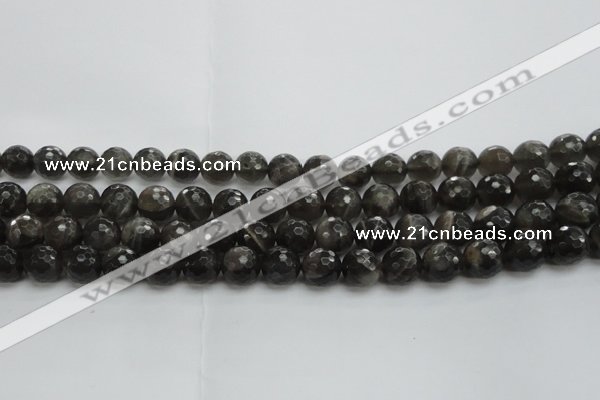 CMS1077 15.5 inches 10mm faceted round grey moonstone beads wholesale