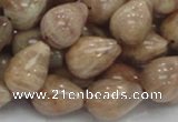 CMS11 15.5 inches 14*18mm teardrop moonstone gemstone beads wholesale