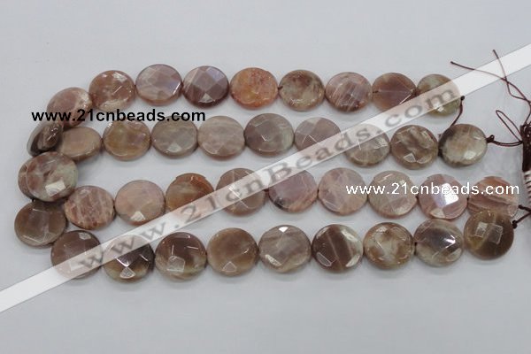 CMS113 15.5 inches 20mm faceted coin moonstone gemstone beads