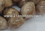 CMS12 15.5 inches 16*20mm teardrop moonstone gemstone beads wholesale