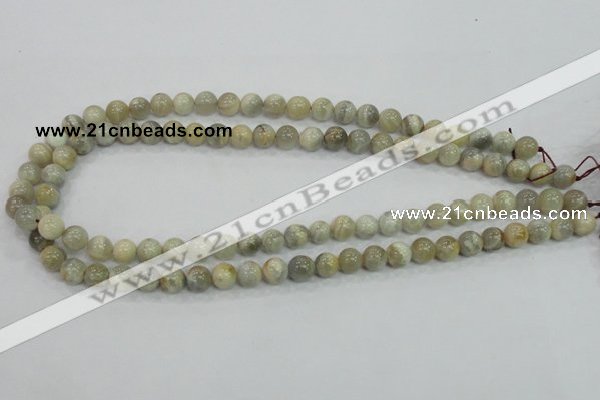 CMS120 15.5 inches 8mm round moonstone gemstone beads wholesale