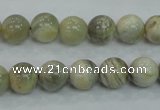 CMS121 15.5 inches 10mm round moonstone gemstone beads wholesale