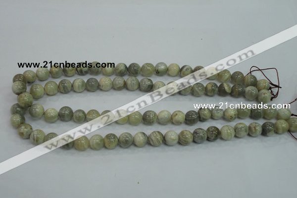 CMS121 15.5 inches 10mm round moonstone gemstone beads wholesale