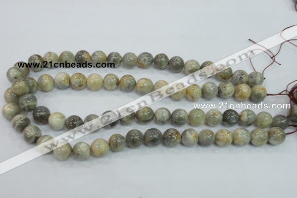 CMS122 15.5 inches 12mm round moonstone gemstone beads wholesale