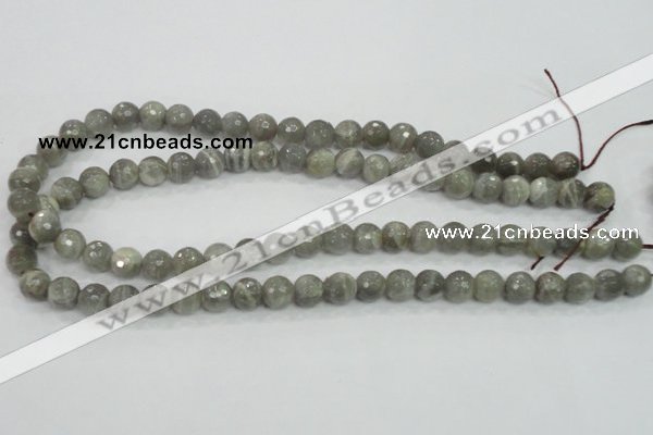 CMS124 15.5 inches 10mm faceted round moonstone gemstone beads