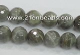 CMS125 15.5 inches 12mm faceted round moonstone gemstone beads