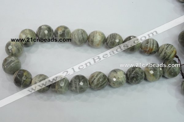 CMS127 15.5 inches 20mm faceted round moonstone gemstone beads