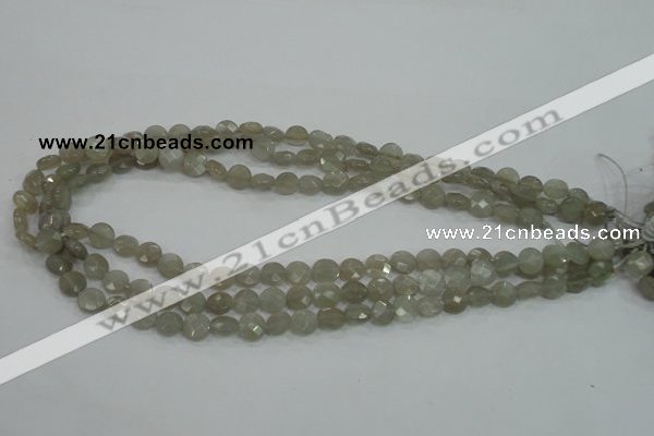 CMS129 15.5 inches 8mm faceted coin moonstone gemstone beads