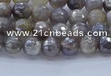 CMS1310 15.5 inches 4mm faceted round AB-color grey moonstone beads