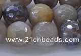 CMS1314 15.5 inches 12mm faceted round AB-color grey moonstone beads