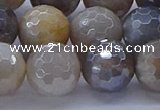 CMS1315 15.5 inches 14mm faceted round AB-color grey moonstone beads