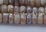 CMS1321 15.5 inches 4*6mm faceted rondelle AB-color moonstone beads