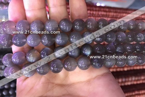 CMS1422 15.5 inches 8mm round black moonstone beads wholesale