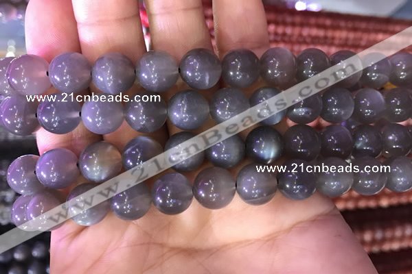 CMS1423 15.5 inches 10mm round black moonstone beads wholesale