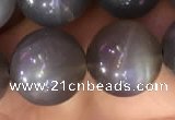 CMS1424 15.5 inches 12mm round black moonstone beads wholesale