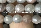 CMS1456 15.5 inches 6mm faceted round AB-color moonstone beads