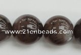 CMS147 15.5 inches 14mm round natural grey moonstone beads