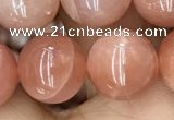 CMS1478 15.5 inches 12mm round moonstone beads wholesale