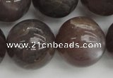 CMS149 15.5 inches 16mm round natural grey moonstone beads