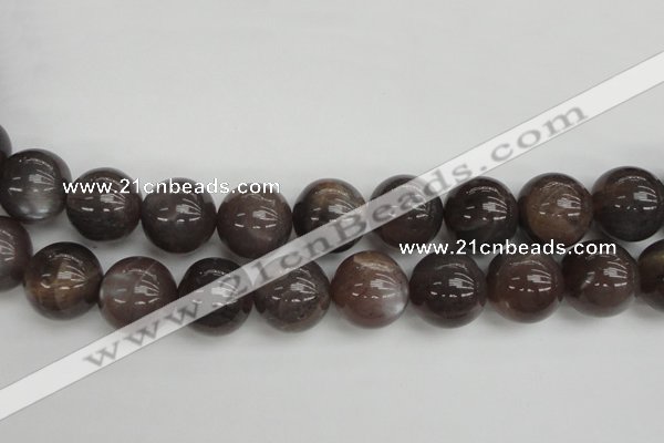 CMS149 15.5 inches 16mm round natural grey moonstone beads