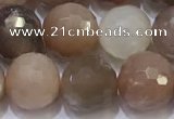 CMS1498 15.5 inches 10mmm faceted round rainbow moonstone beads