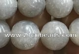 CMS1653 15.5 inches 10mm round grey moonstone beads wholesale