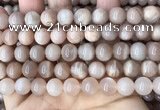 CMS1673 15.5 inches 10mm round moonstone beads wholesale