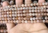 CMS1677 15.5 inches 4mm faceted round moonstone beads wholesale