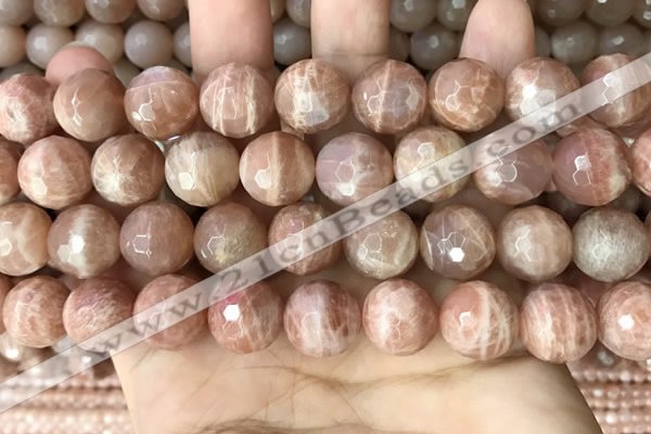 CMS1682 15.5 inches 14mm faceted round moonstone beads wholesale