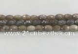 CMS1775 15.5 inches 8*12mm faceted rice AB-color moonstone beads