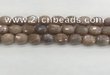 CMS1778 15.5 inches 13*18mm faceted drum AB-color moonstone beads