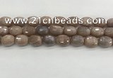 CMS1778 15.5 inches 13*18mm faceted drum AB-color moonstone beads