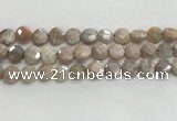 CMS1789 15.5 inches 10mm faceted coin AB-color moonstone beads