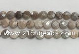 CMS1790 15.5 inches 12mm faceted coin AB-color moonstone beads