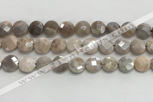 CMS1790 15.5 inches 12mm faceted coin AB-color moonstone beads