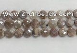 CMS1791 15.5 inches 14mm faceted coin AB-color moonstone beads