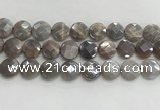 CMS1792 15.5 inches 16mm faceted coin AB-color moonstone beads