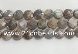 CMS1793 15.5 inches 18mm faceted coin AB-color moonstone beads