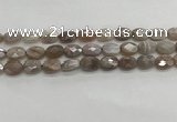 CMS1799 15.5 inches 10*14mm faceted oval AB-color moonstone beads