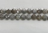 CMS1819 15.5 inches 14mm faceted coin AB-color moonstone beads