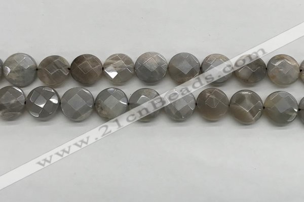 CMS1819 15.5 inches 14mm faceted coin AB-color moonstone beads