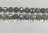 CMS1820 15.5 inches 16mm faceted coin AB-color moonstone beads