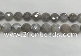 CMS1820 15.5 inches 16mm faceted coin AB-color moonstone beads